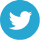 Twitter Icon